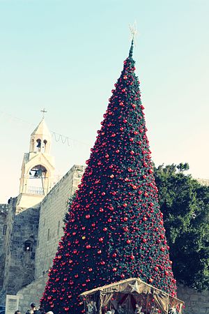 Christmas tree, Bethlehem.jpg