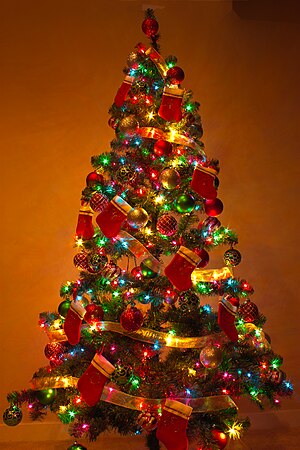 Y Christmas Tree 2.jpg