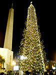 Christmas tree in Vatican City, 2007
