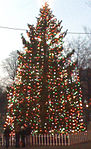 Boston's Christmas Tree.