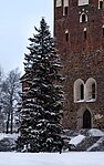 A large Christmas tree front of the Turku Cathedral in Turku (Finland), 2009