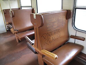 Vandalismus ve vlaku.jpg