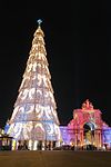 in Lisbon (2005), at 75 metres (246 feet) the tallest Christmas tree in Europe.